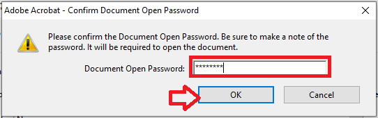 confirm the document open password