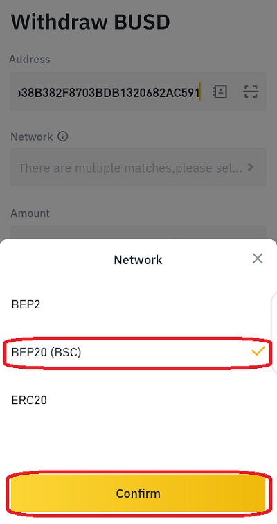 select bep20 (bsc) network option