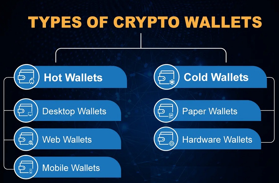 various types of cryptocurrency wallets: cold wallet and hot wallet
